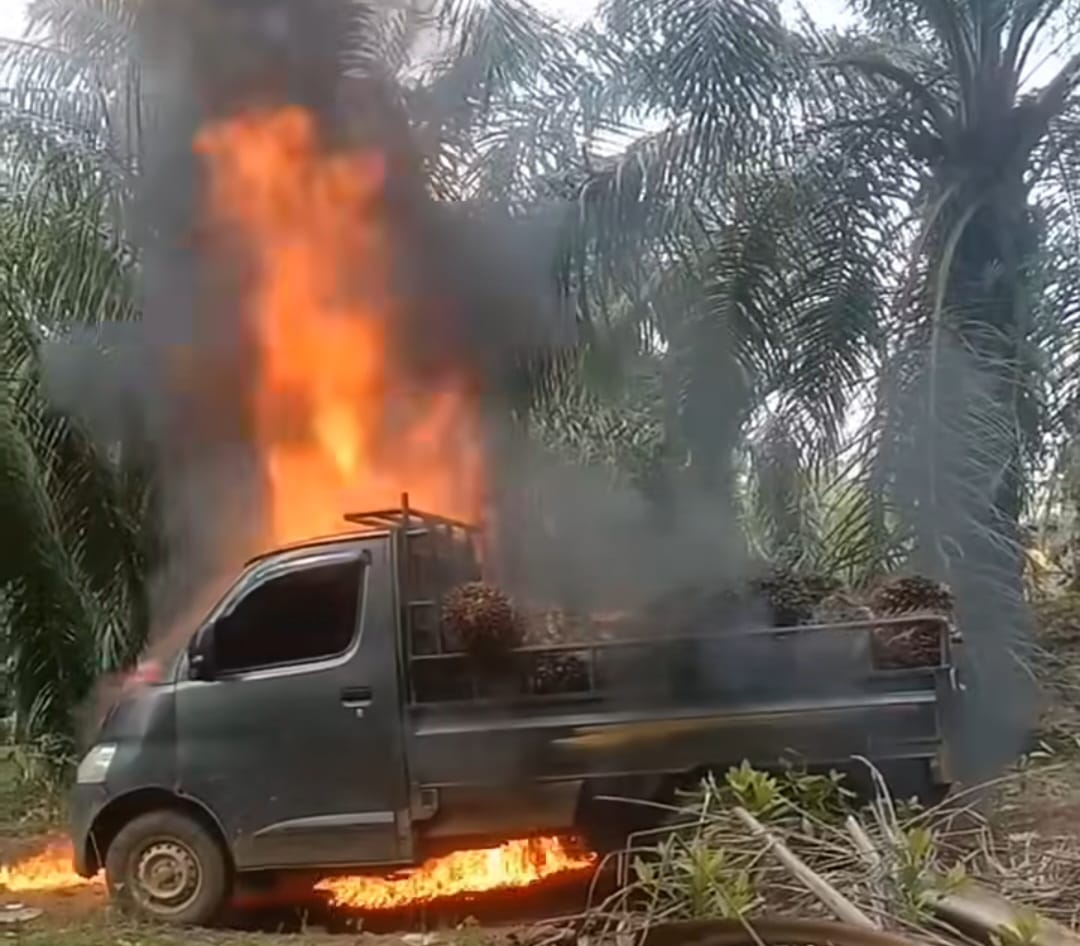 Kejadian di Mukomuko, Mobil Terduga Pencuri Sawit Dibakar Massa