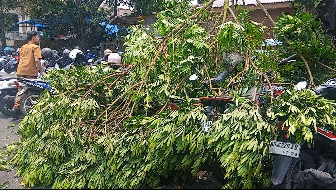 Angin Kencang, Dahan Pohon Patah Timpa Sejumlah Motor di Parkiran Kantor Bupati Rejang Lebong