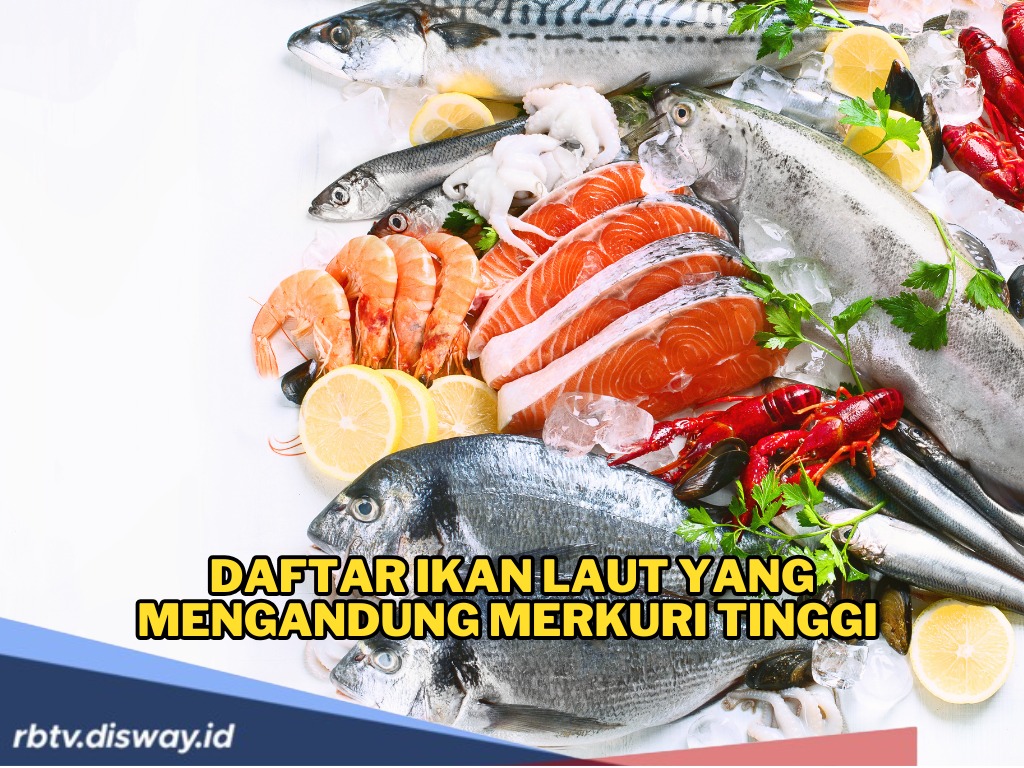 Jangan Salah Pilih, Ini Daftar Ikan Laut yang Mengandung Merkuri Tinggi, Sebaiknya Dihindari