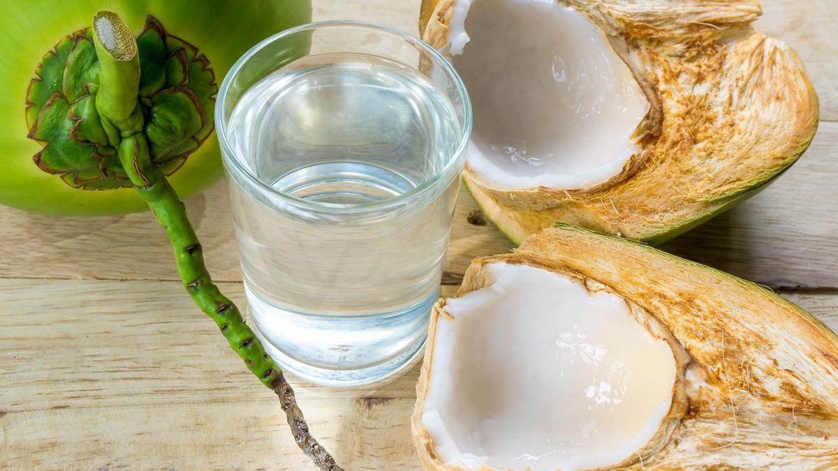 Diet Itu Tidak Harus Pakai Obat, Rutin Minum Air Kelapa juga Bisa Menurunkan Berat Badan