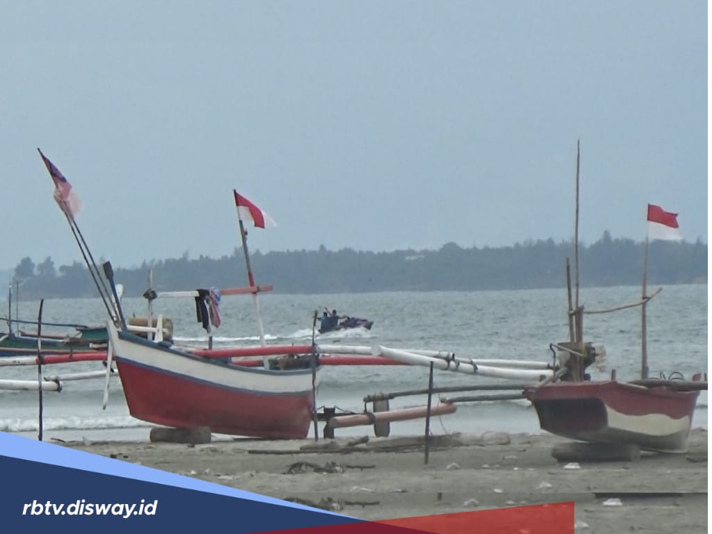 Penjualan Benih Bening Lobster Sudah Diperbolehkan, Baru Satu Kelompok Ajukan Izin Penangkapan