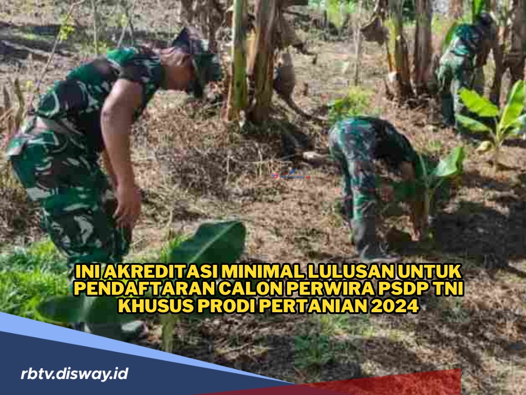 Lulusan D4/S1 Bisa Daftar Rekrutmen Perwira PSDP TNI Khusus Bidang Pertanian 2024, Ini Syaratnya