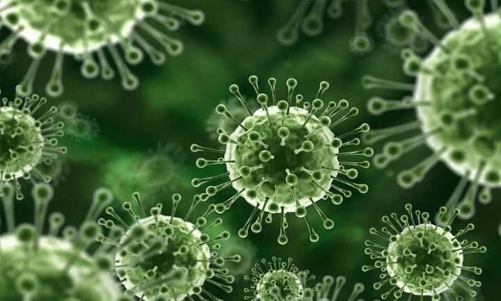 Covid Ada Varian Baru, Sekarang Muncul Virus Nipah yang Mematikan dan Belum Ada Obatnya