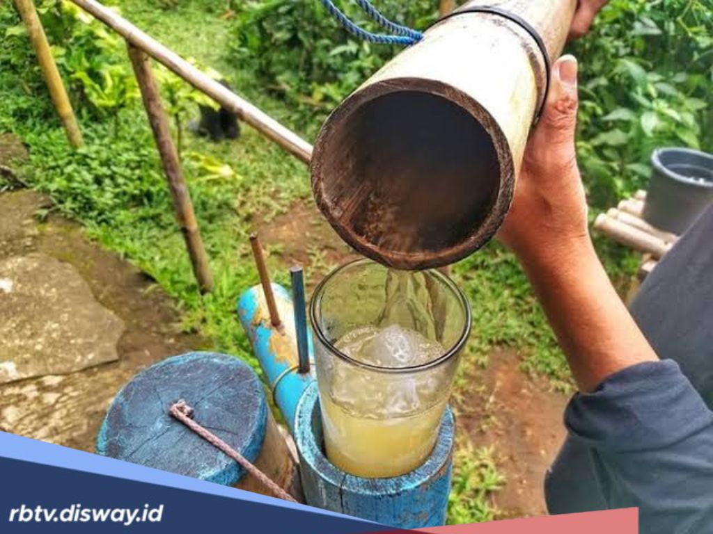 Proses dan Bahan Pembuatan Minuman Tradisional Tuak