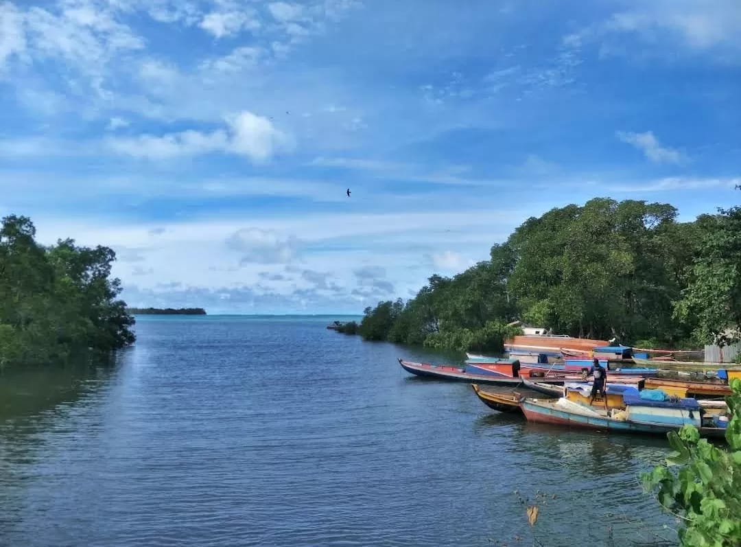 Daftar Ketersediaan Bahan Pangan di Pulau Enggano, Camat: Bukan Masalah Kelaparan, Tetapi Ekonomi Lumpuh
