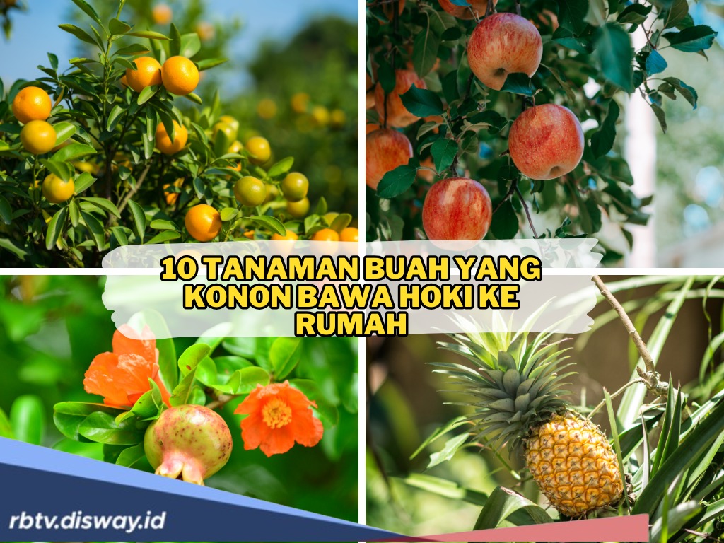 10 Tanaman Buah Pembawa Hoki ke Rumah, Anda Pilih yang Mana?