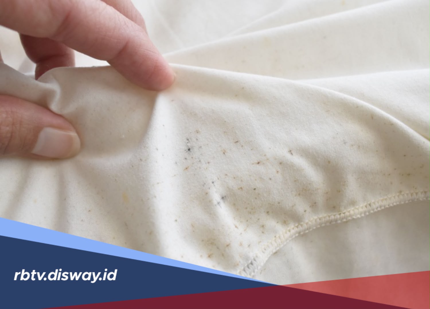 4 Cara Mudah Menghilangkan Jamur di Baju Terbukti Ampuh
