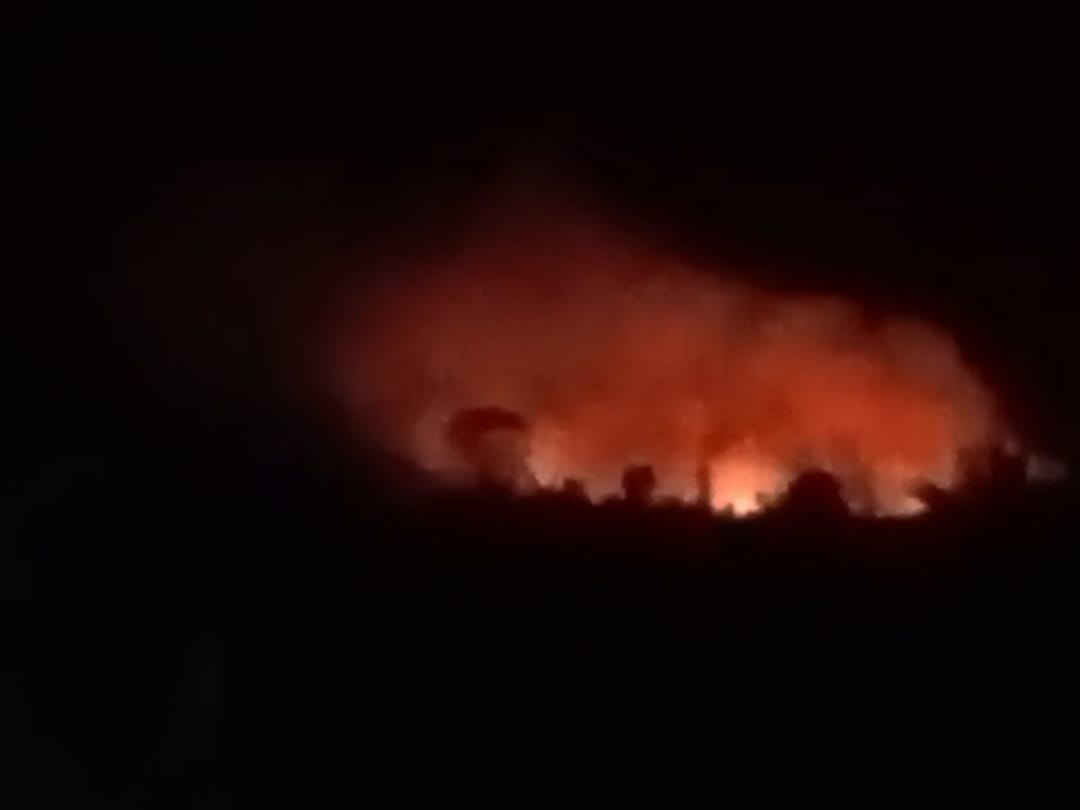 Kebakaran Lahan Hebohkan Warga Desa Talang Giring Seluma