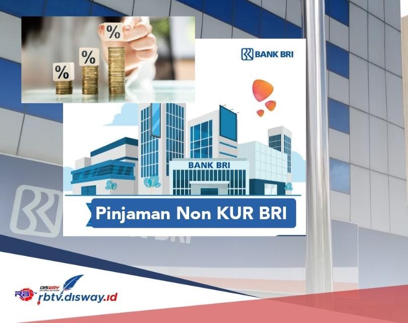 Banyak Untungnya, Pinjaman Rp 50 Juta Non KUR BRI 2024 Bisa Dicicil Sampai 60 Bulan 