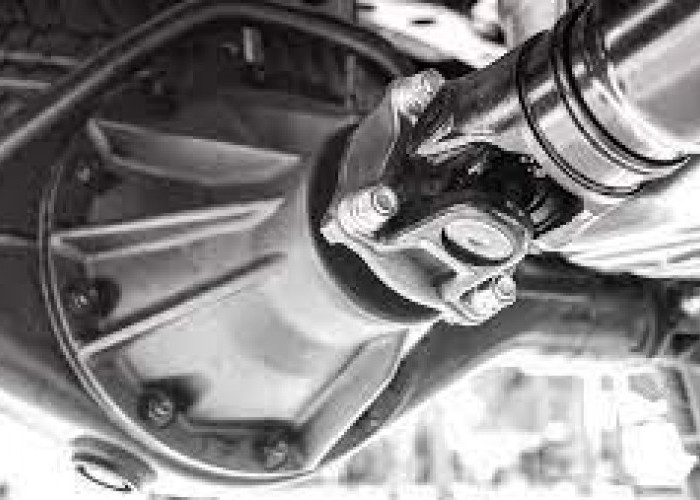 Penyebab Gardan Mobil Berdengung dan Cara Mengatasinya Sebelum ke Bengkel