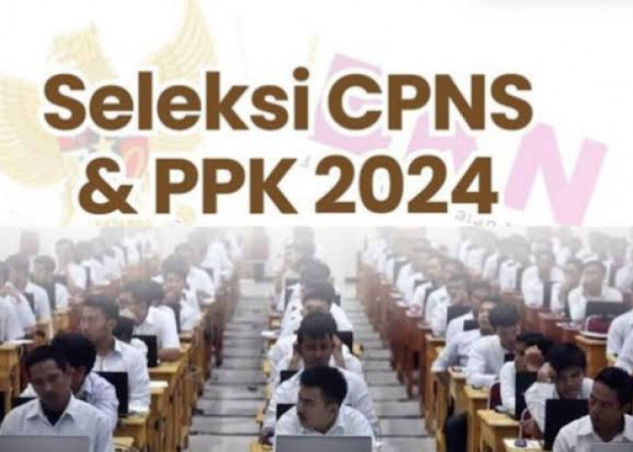 Alur Pendaftaran CPNS 2024, Simak Sebelum Mendaftar Seleksi CPNS 2024