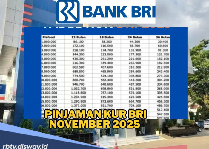 Pinjaman KUR BRI Rp 20 Juta November 2025, Solusi Modal dengan Cicilan Ringan 