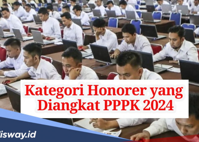 3 Kategori Honorer yang Punya Peluang Diangkat Jadi PPPK 2024, Kamu Salah Satunya?