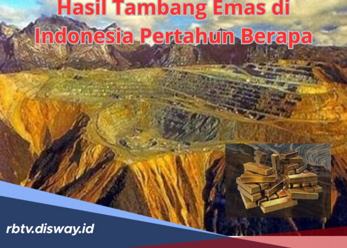 Hasil Tambang Emas di Indonesia per Tahun Berapa? Ini Jawabannya lengkap dengan Daftar Daerah Penghasil Emas 