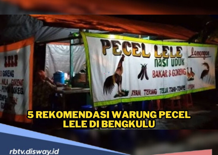 5 Rekomendasi Warung Pecel Lele di Bengkulu yang Populer, Rasa Enak dan Tempat Nyaman