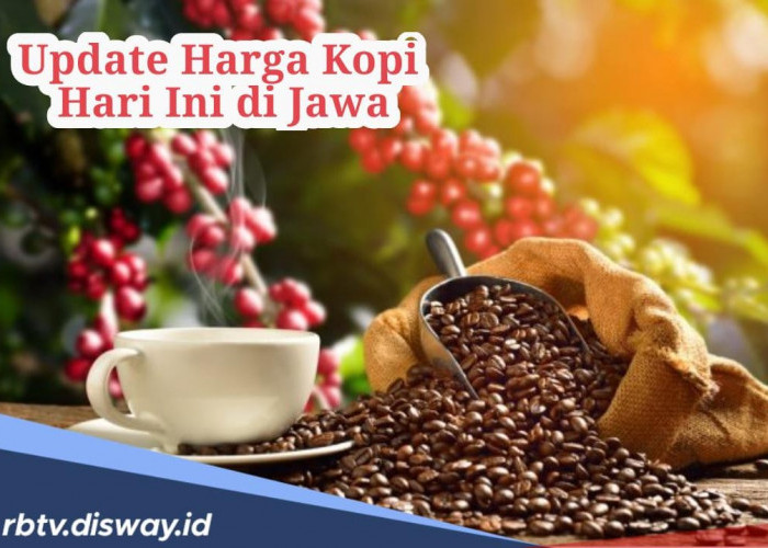 Update Harga Kopi Hari Ini di Jawa, Harga Melonjak Petani Sejahtera