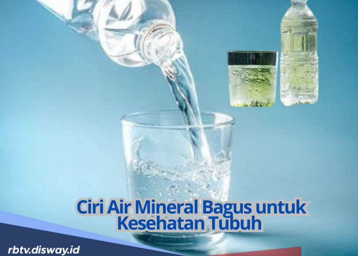 Jangan Sampai Salah Pilih! Kenali Ciri-ciri Air Mineral Bagus untuk Kesehatan Tubuh