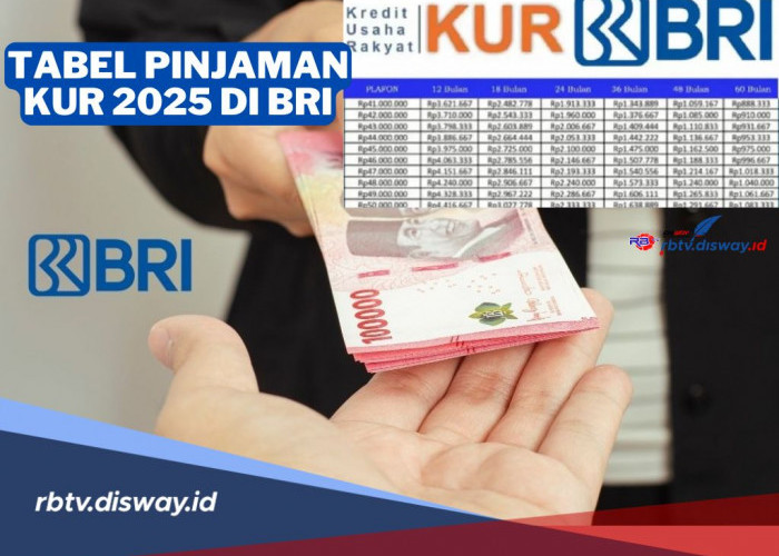 Tabel KUR BRI 2025 Pinjaman Rp 300 Juta, Berapa Angsurannya? Berikut Syarat dan Caranya   