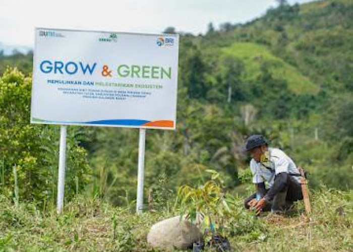 BRI Menanam Grow & Green, Upaya Jaga Kelestarian Ekosistem dari Perubahan Iklim