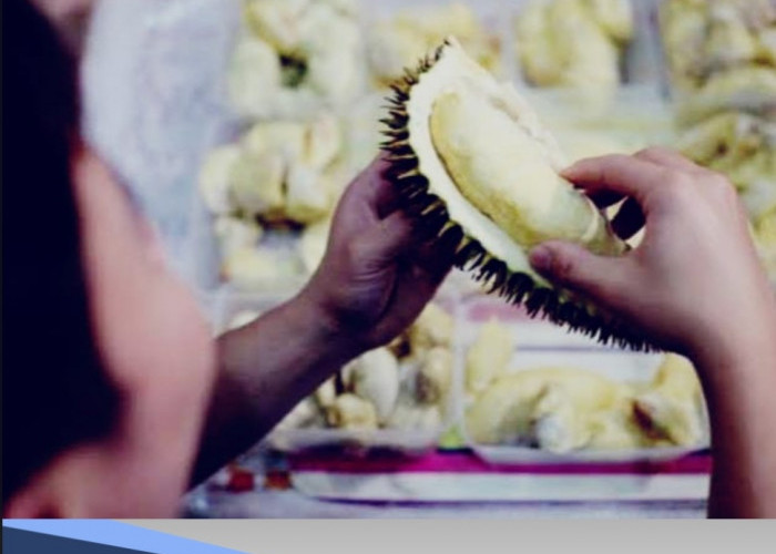 Hati-hati Saat Konsumsi Durian, Ini 6 Efek Sampingnya Bagi Kesehatan yang Perlu Diwaspadai