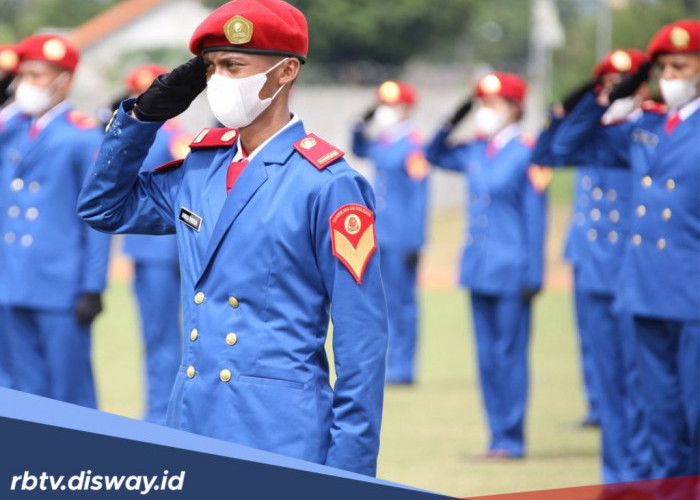 Rebutan Kursi! Ini 10 Sekolah Kedinasan Paling Favorit di Indonesia tahun 2025
