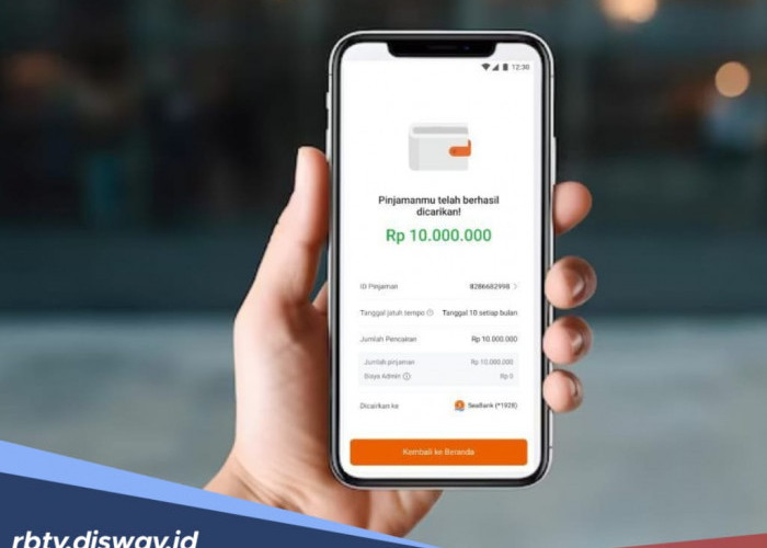 Tersedia Limit hingga Rp 30 Juta, Begini Cara Ajukan Pinjaman di Seabank untuk Pemula