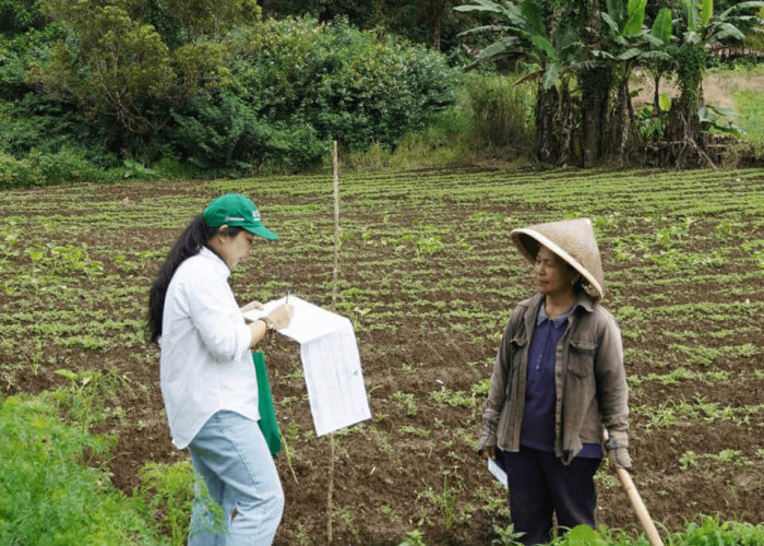 Terpilih Menjadi Petugas Pendataan Lapangan Mitra Statistik BPS 2026, Ini Kegiatan yang Dilakukan