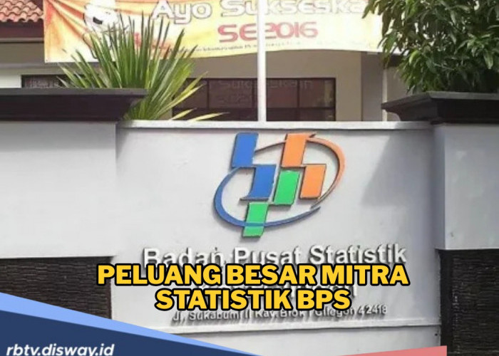 Peluang Besar Mitra Statistik BPS, Ini Alasan Mengapa Banyak Orang Tertarik Bergabung