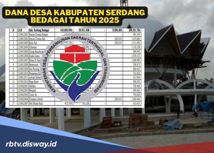 Tabel DANA Desa Kabupaten Serdang Bedagai 2025, Total Dana Rp 208 Miliar, Cek Dana Desamu