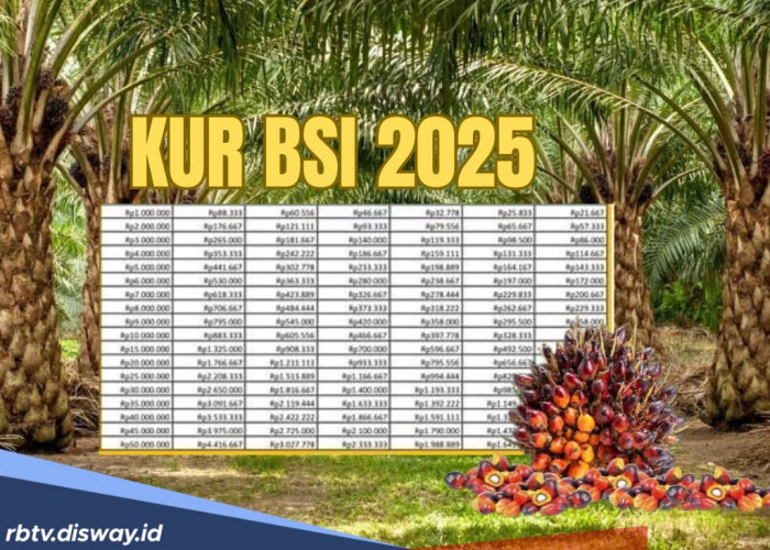 KUR BSI 2025, Pinjaman Rp 30 Juta Anti Riba Bagi PNS untuk Modal Perawatan Kebun Sawit Bisa Diangsur 3 Tahun
