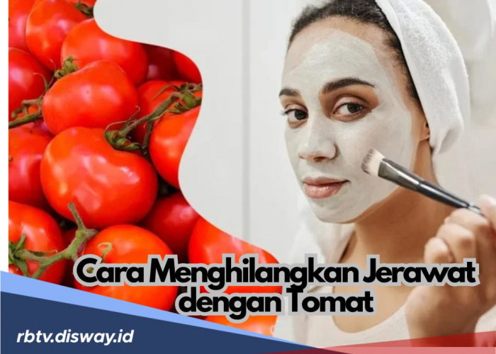 Tak Perlu Skincare Mahal, Begini Cara Menghilangkan Jerawat dengan Tomat