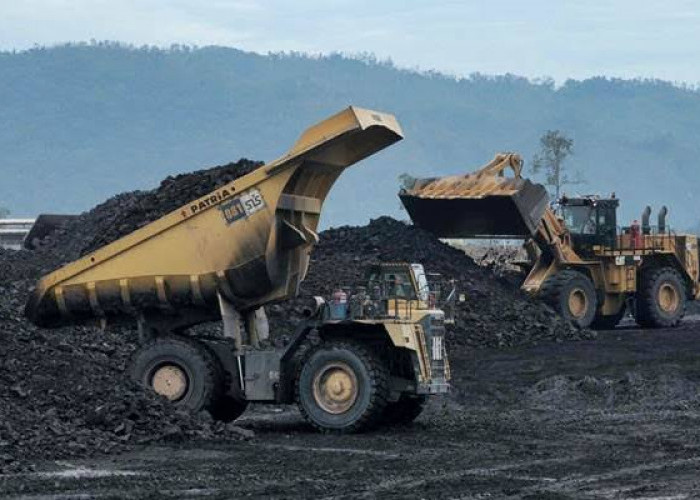 Intip Tambang Batu Bara Terbesar di Riau, Berada di 3 Kabupaten yang Hasilkan 600 Juta Ton di Tahun 2019