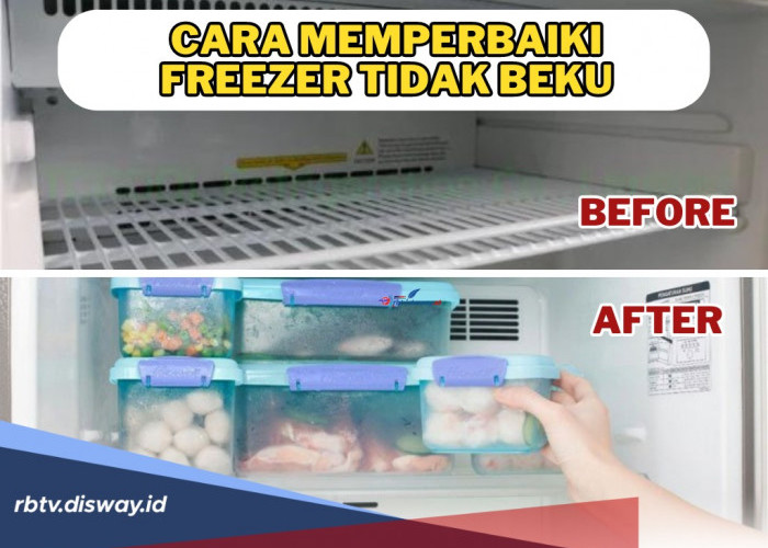 Ini Penyebab serta Cara Memperbaiki Freezer Tidak Beku! Jangan Asal-asalan ya Bund