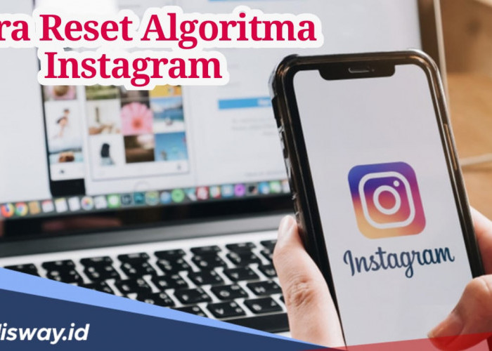 Cara Reset Algoritma Instagram, Reels dan Feed Bisa Sesuai Minat Pribadi