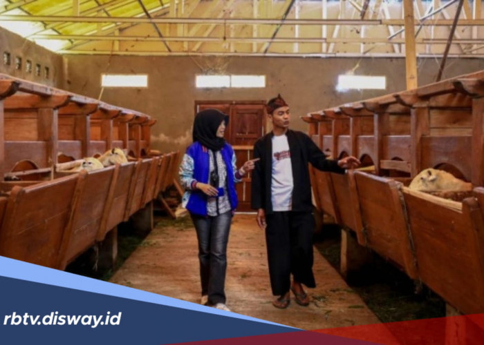 Jenis dan Bunga KUR BRI 2026, Ini Strategi agar Pengajuan Diterima 