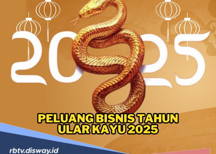 Peluang Bisnis di Tahun Ular Kayu 2025, Keberuntungan Besar Menanti