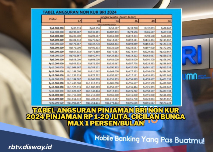 Tabel Angsuran BRI Non KUR 2024 Pinjaman Rp 1-20 Juta, Bunga Ringan