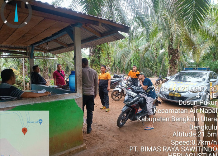 Satpam Perkebunan Kelapa Sawit di Bengkulu Utara Ditembak dari Jarak Dekat