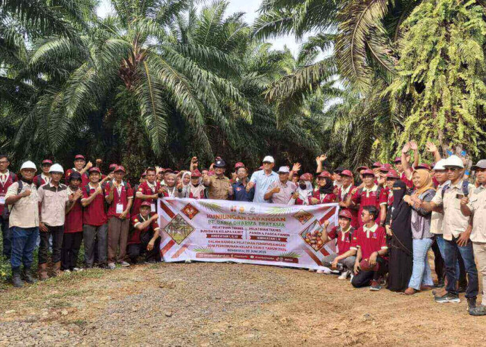 BPDP, Ditjenbun dan PT. CWE Buka Pintu Perubahan: Petani Sawit Dilatih, Produktivitas Ditingkatkan