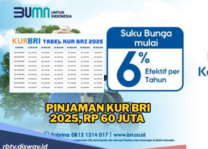 Pinjaman KUR BRI Bulan November Rp 60 Juta, Suku Bunga Ringan dan Syarat Mudah