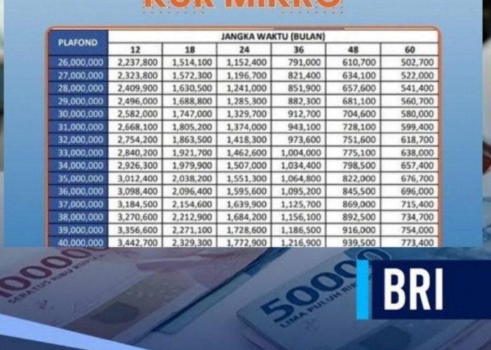 Tabel Angsuran KUR BRI 2024 Pinjam Rp 35 Juta, Ada Pilihan Cicilan Sesuai Dengan Kemampuan 