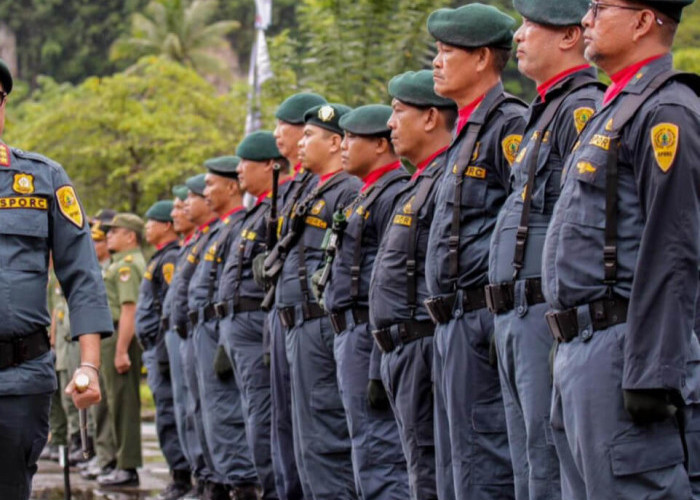 Penting Diketahui, Ini Sederet Tahapan dan Tes Seleksi CPNS Polhut di KLHK