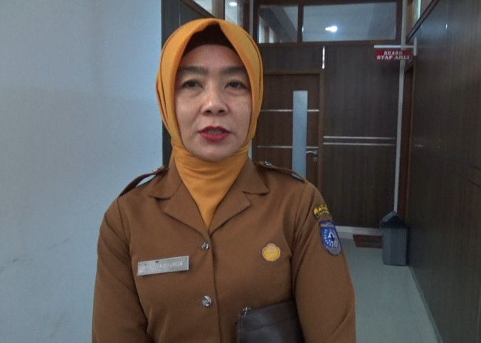 Pusat Putus Ex Officio Kepala BPBD, Daerah Wajib Bentuk Struktur Definitif