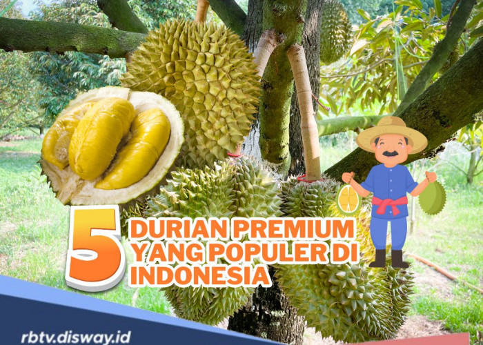 Banjir Durian! Ini 5 Durian Premium yang Wajib Kamu Coba di Indonesia, Legit dan Punya Rasa yang Khas