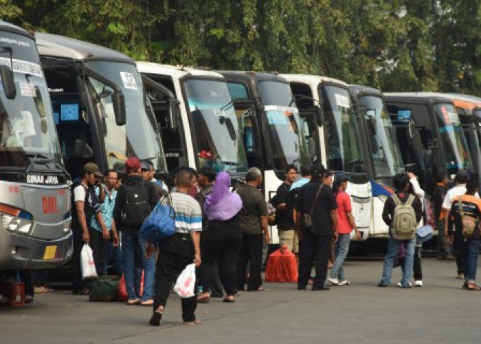 6 Pilihan Bus dari Bandung ke Lampung, Cek Harga Tiket dan Fasilitas