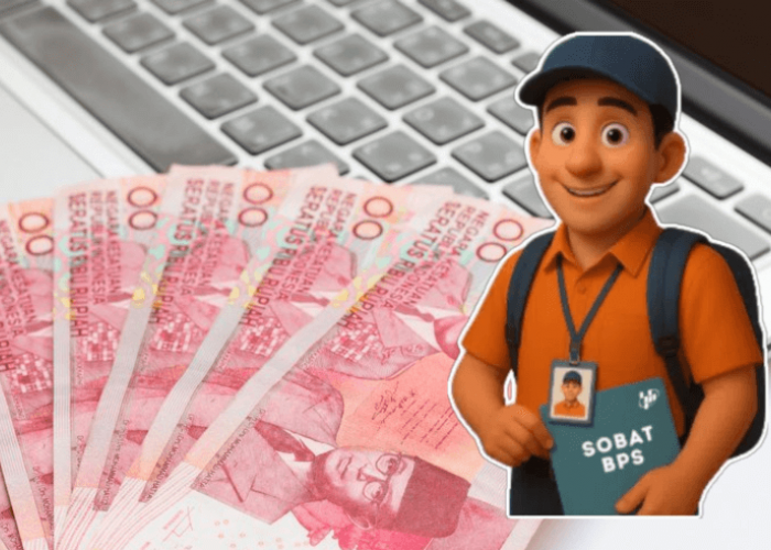 Berapa Honor yang Akan Diterima Mitra Statistik BPS 2026?