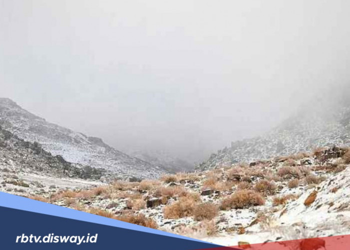 4 Fenomena Aneh yang Pernah Terjadi di Dunia, Sulit Dipercaya Tapi Nyata!