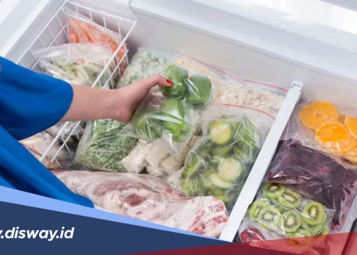 Cara Memulai Bisnis Frozen Food Rumahan, Modal Rp1 Juta Sudah Bisa Jalan 