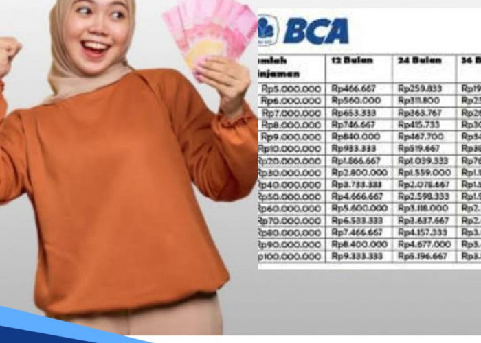 Tabel Pinjaman BCA untuk Karyawan Rp 100 Juta Tanpa Jaminan, Bunga 1 Persen per Bulan