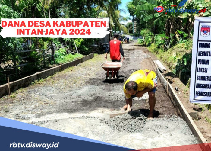 Rincian Dana Desa Kabupaten Intan Jaya 2024, Ada yang Dapat Lebih dari Rp 1 Miliar
